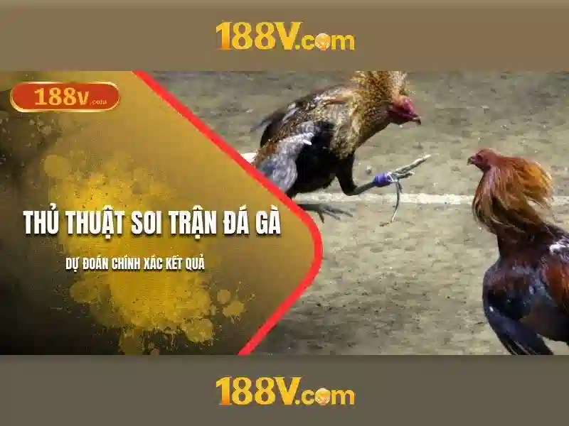 188V và hành trình khám phá khái niệm trong thế giới số