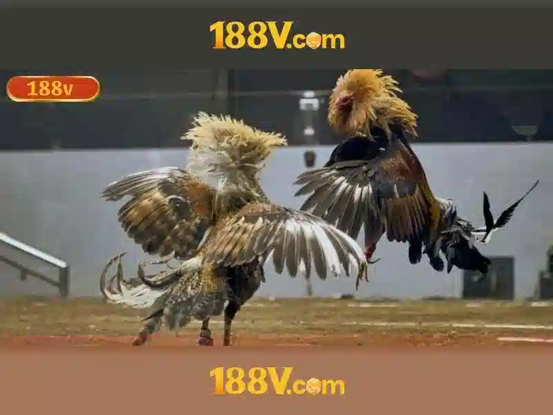 Khám phá 188v: nguồn cảm hứng và thử thách của điện áp 188v