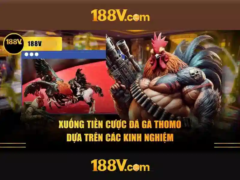 188V: Khái niệm và di sản