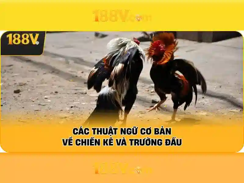 Kiến trúc và trải nghiệm người dùng