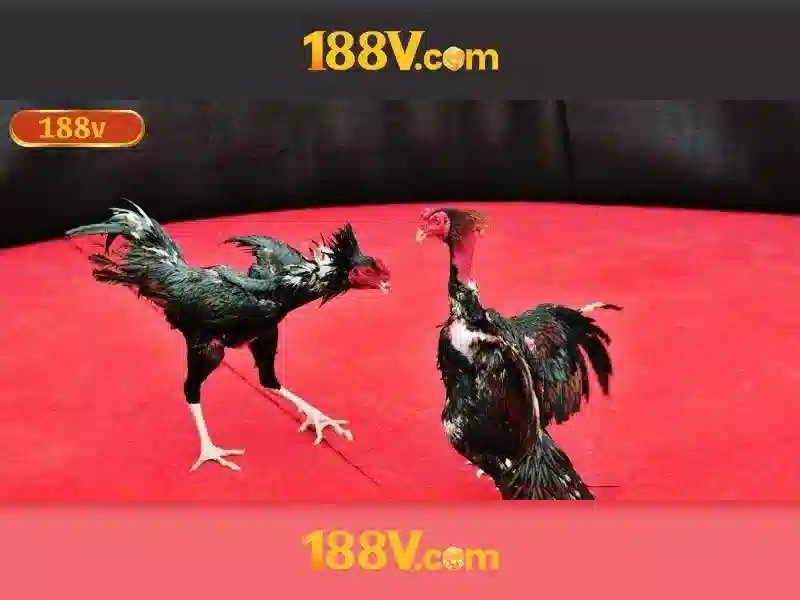 So sánh 188v với chuẩn khác