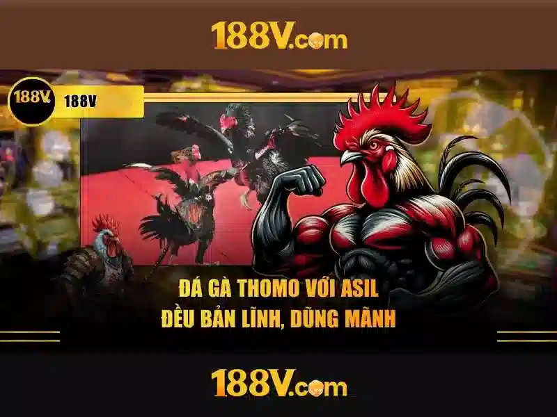 Bảo mật và tuân thủ khi trò chơi trực tuyến