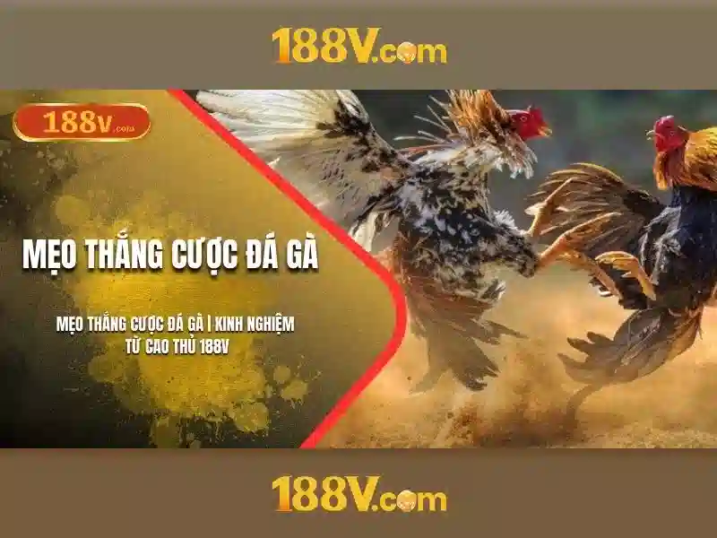188v: Bí Ẩn của một chuỗi số