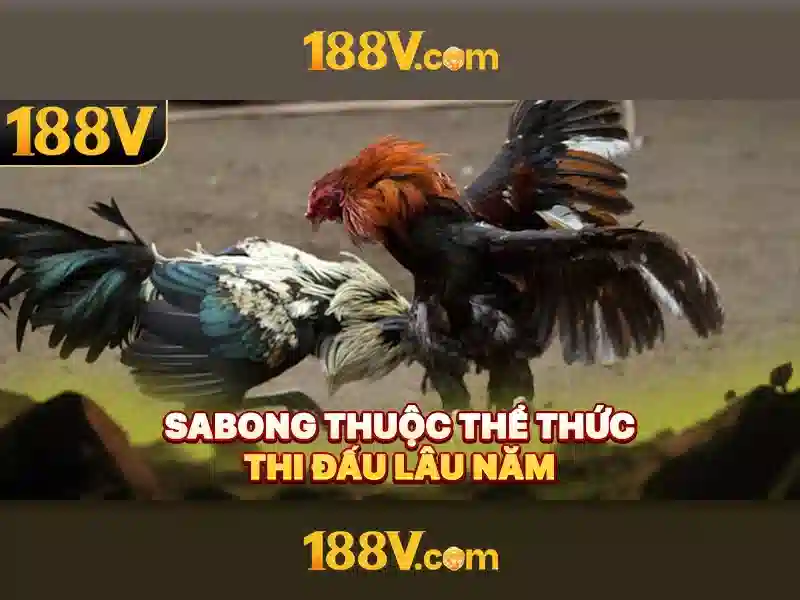 188v: Khám phá khái niệm và ứng dụng trong thế giới số