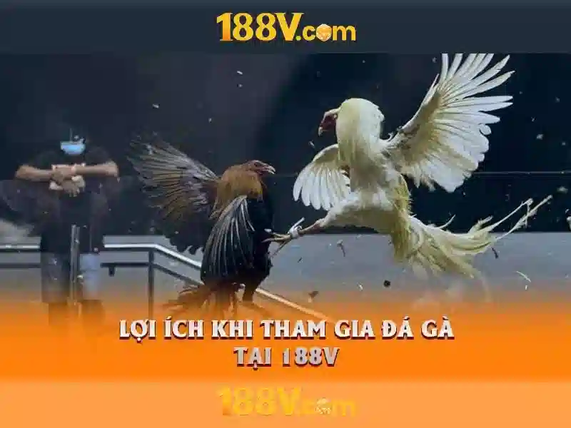Nguồn gốc và bối cảnh
