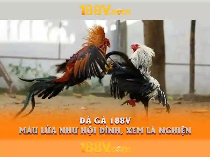 Khái niệm 188v