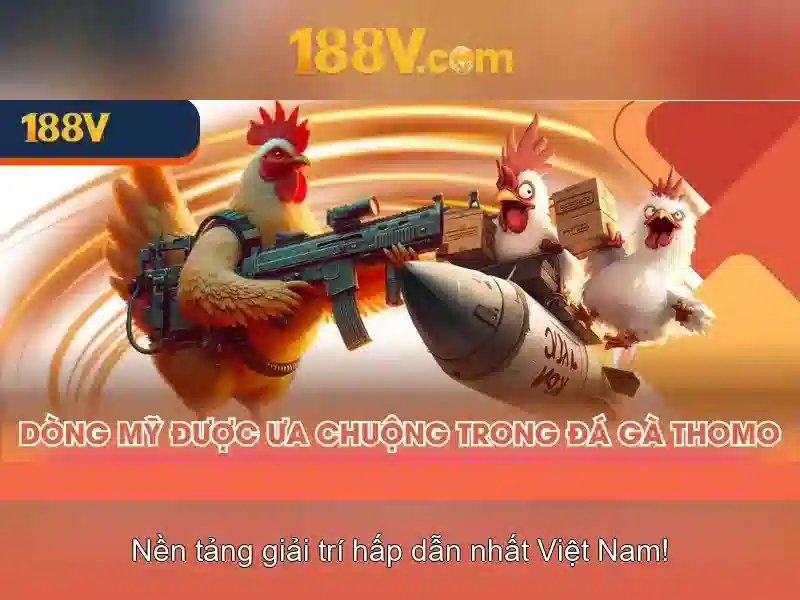 Hiệu ứng ánh sáng và âm thanh