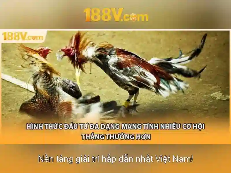 188V: Khái niệm và ứng dụng tiềm năng