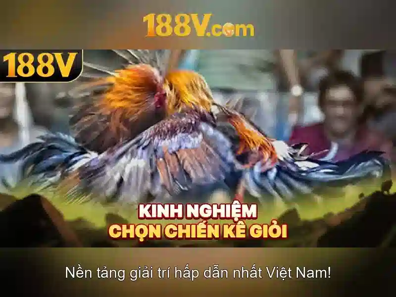 Ứng dụng thực tiễn của 188v