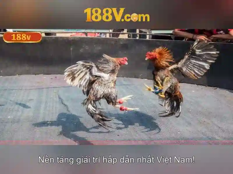 Khái niệm 188v trong phân tích hiện tượng