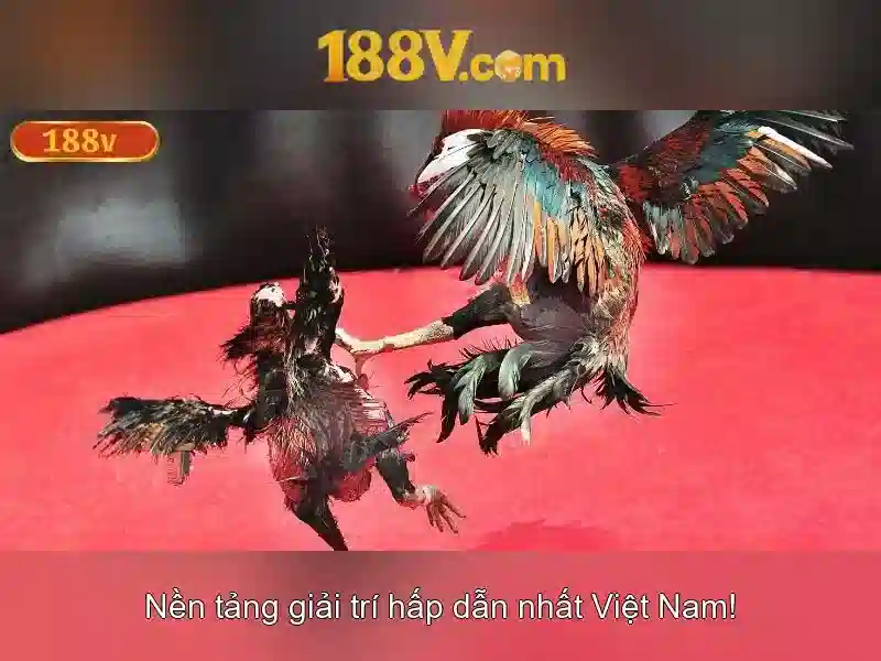 188v: Cuộc hành trình qua con số huyền bí