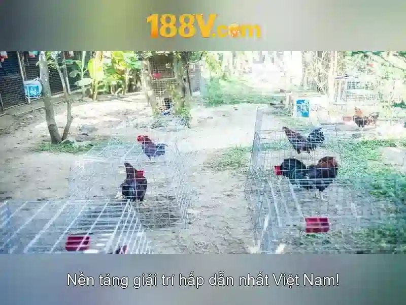 Vật liệu và thiết kế 188v