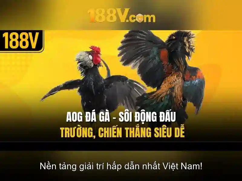 Nguồn gốc và ứng dụng của 188v