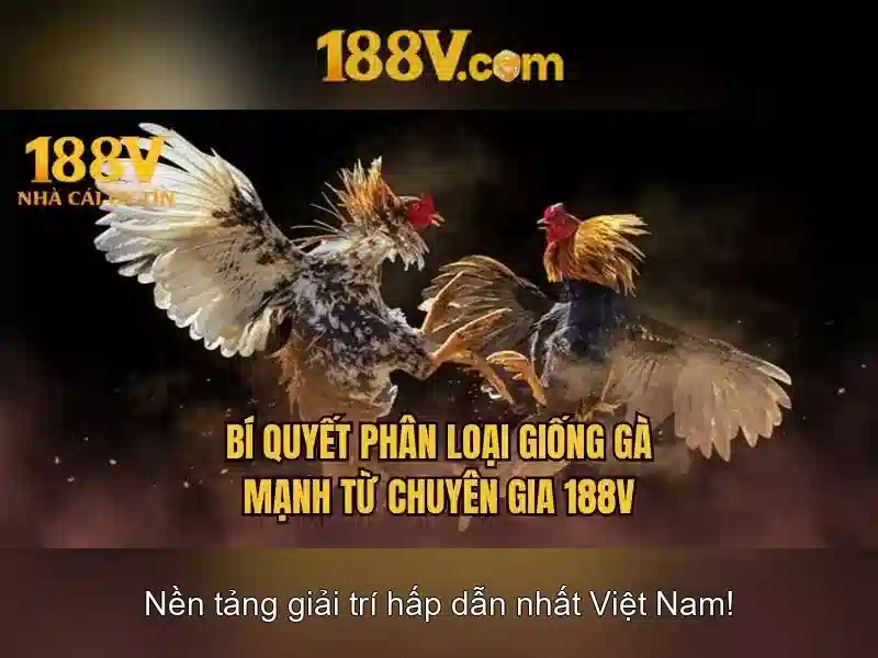 Khám phá 188v: một khái niệm thú vị