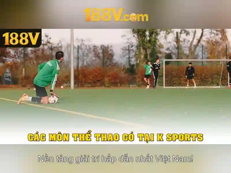 Phân tích an toàn và hiệu quả