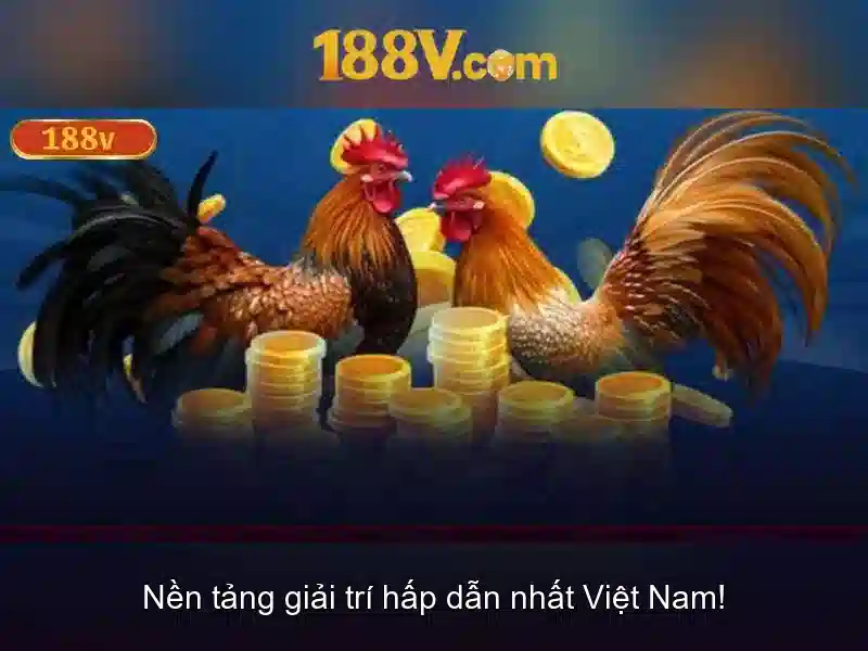 Khái niệm căn bản về 188v