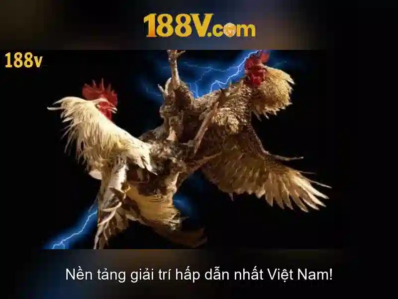 Ý nghĩa của 188v trong đời sống