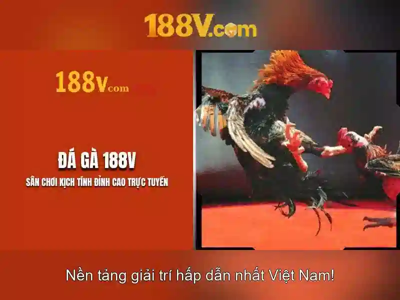 Nguồn gốc và ý nghĩa