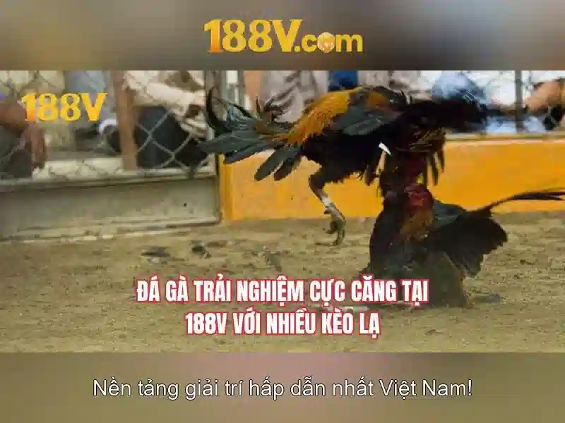 Trong công nghiệp di động và máy móc