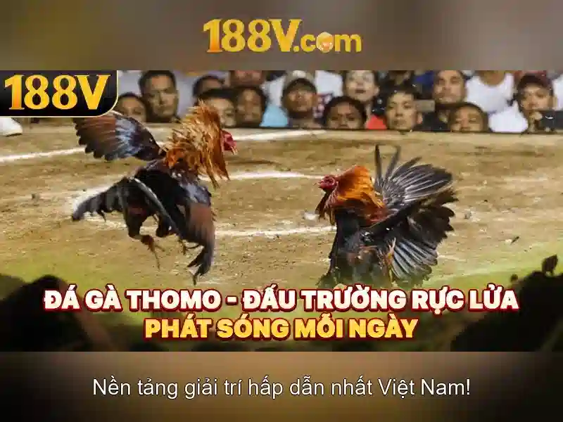 Nguồn gốc và tầm quan trọng của 188v